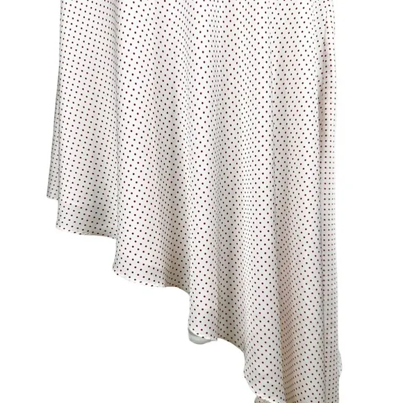 Alexis red dotted asymmetric Kadir skirt sz small silky flowy Revolve