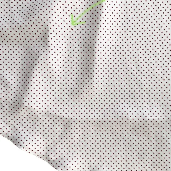 Alexis red dotted asymmetric Kadir skirt sz small silky flowy Revolve