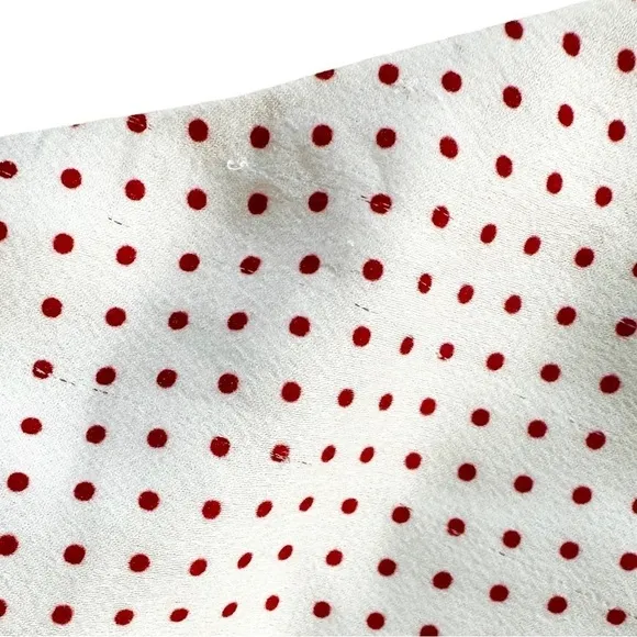Alexis red dotted asymmetric Kadir skirt sz small silky flowy Revolve