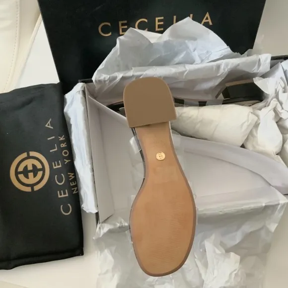 CECELIA Lincoln Strappy Clear Slide Sandals Mules