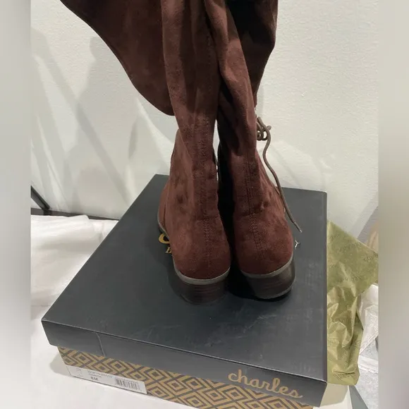 Charles by Charles David over the knee boots