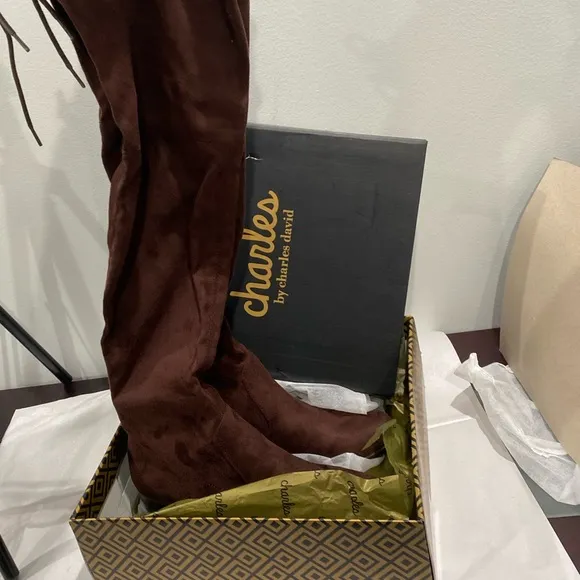 Charles by Charles David over the knee boots
