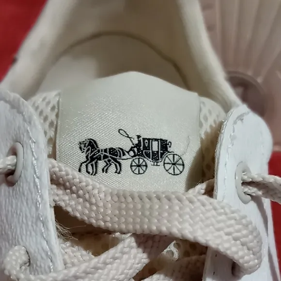 Coach Men's Sneakers in White