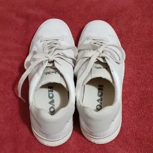 Coach Men's Sneakers in White