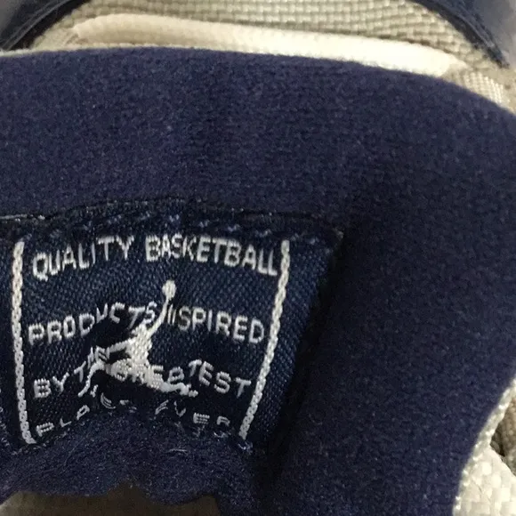 Jordan Blue and Gray Sneakers with Iconic Silhouette