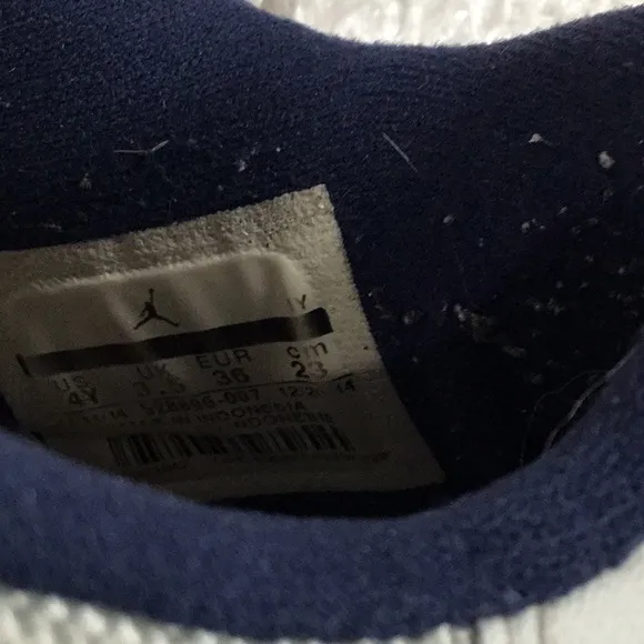 Jordan Blue and Gray Sneakers with Iconic Silhouette
