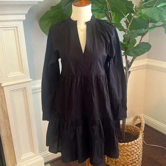 NEW BB Dakota Long Sleeve These Days Dress
