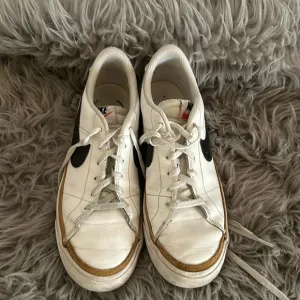 Nike Youth Court Legacy White,Black,Gold Size 6.5Y