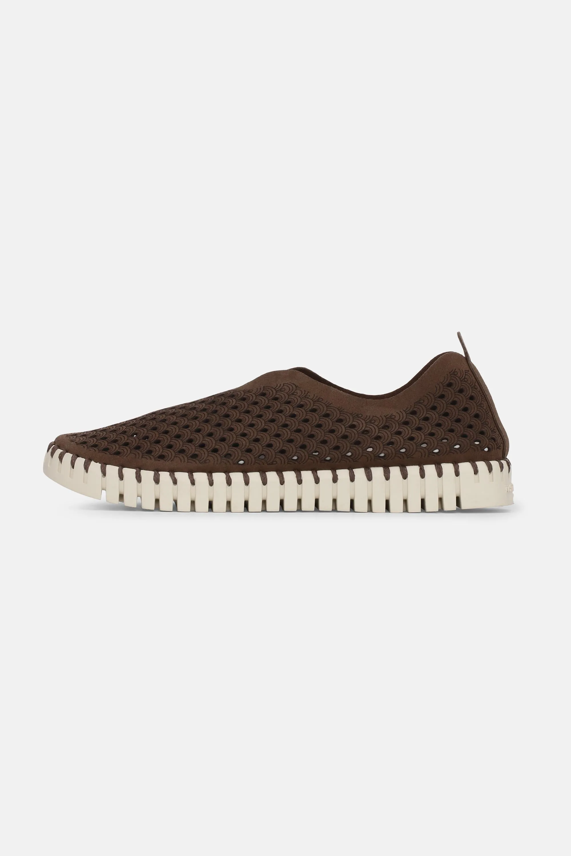 Tulip Skor - Brown