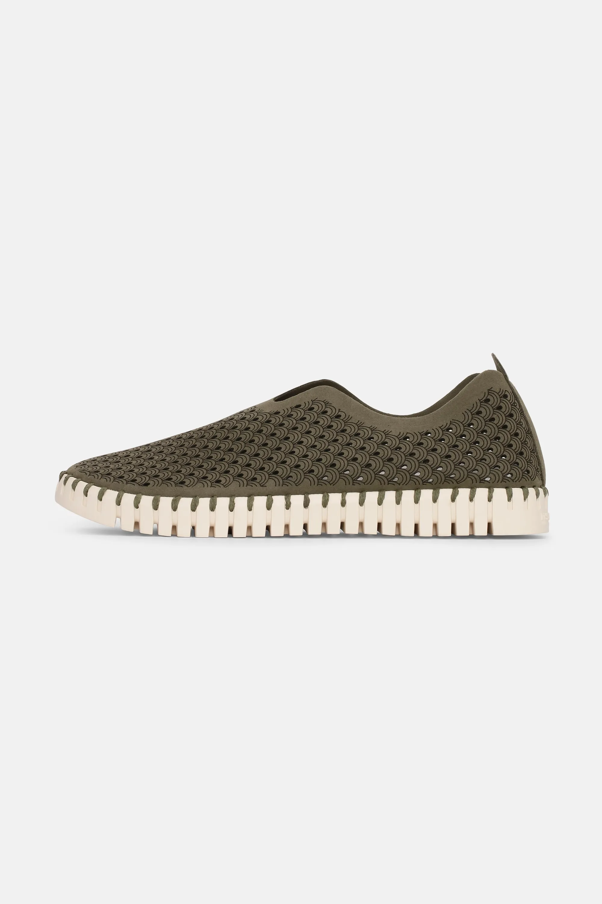 Tulip Skor - Deep Olive