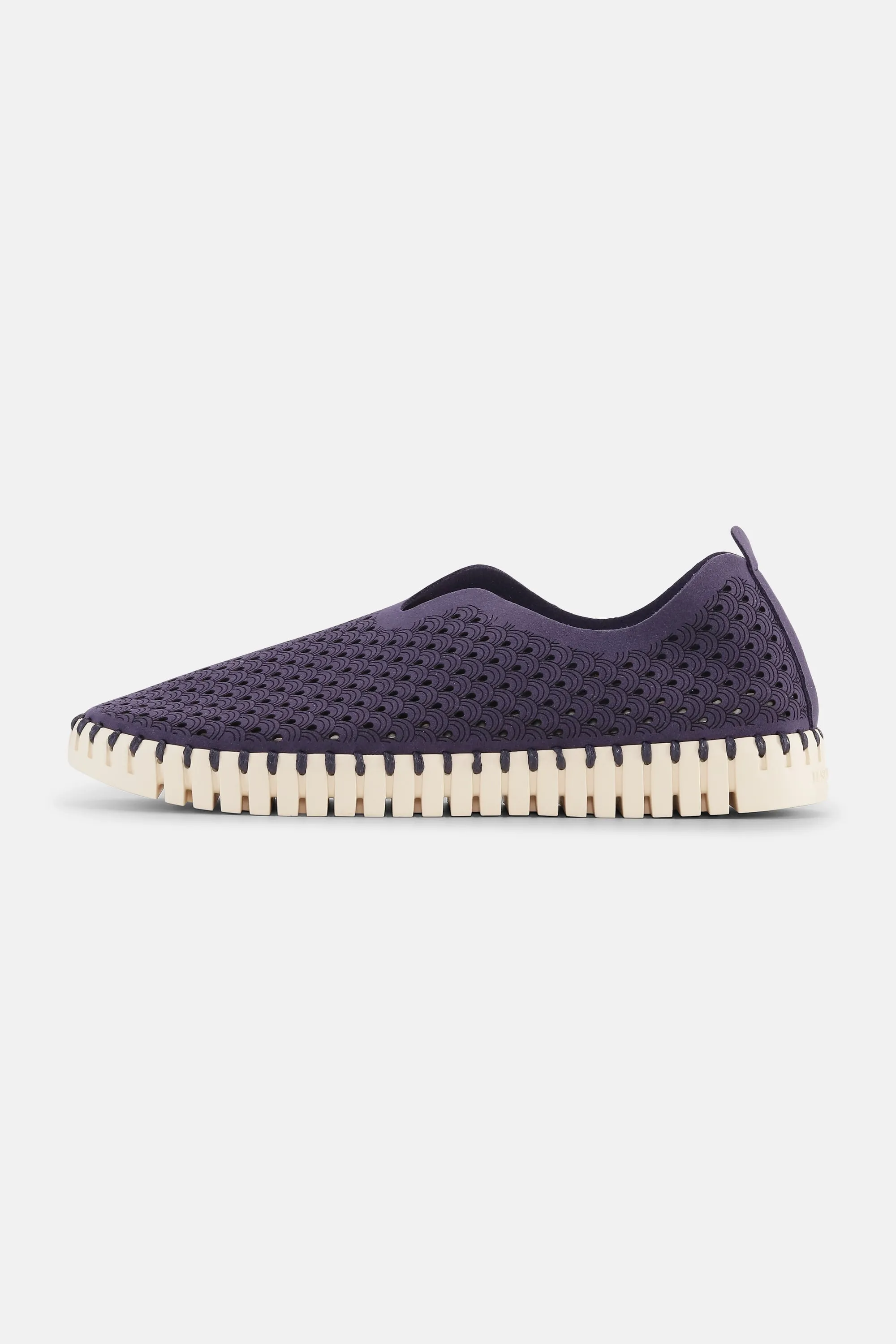 Tulip Skor - Navy