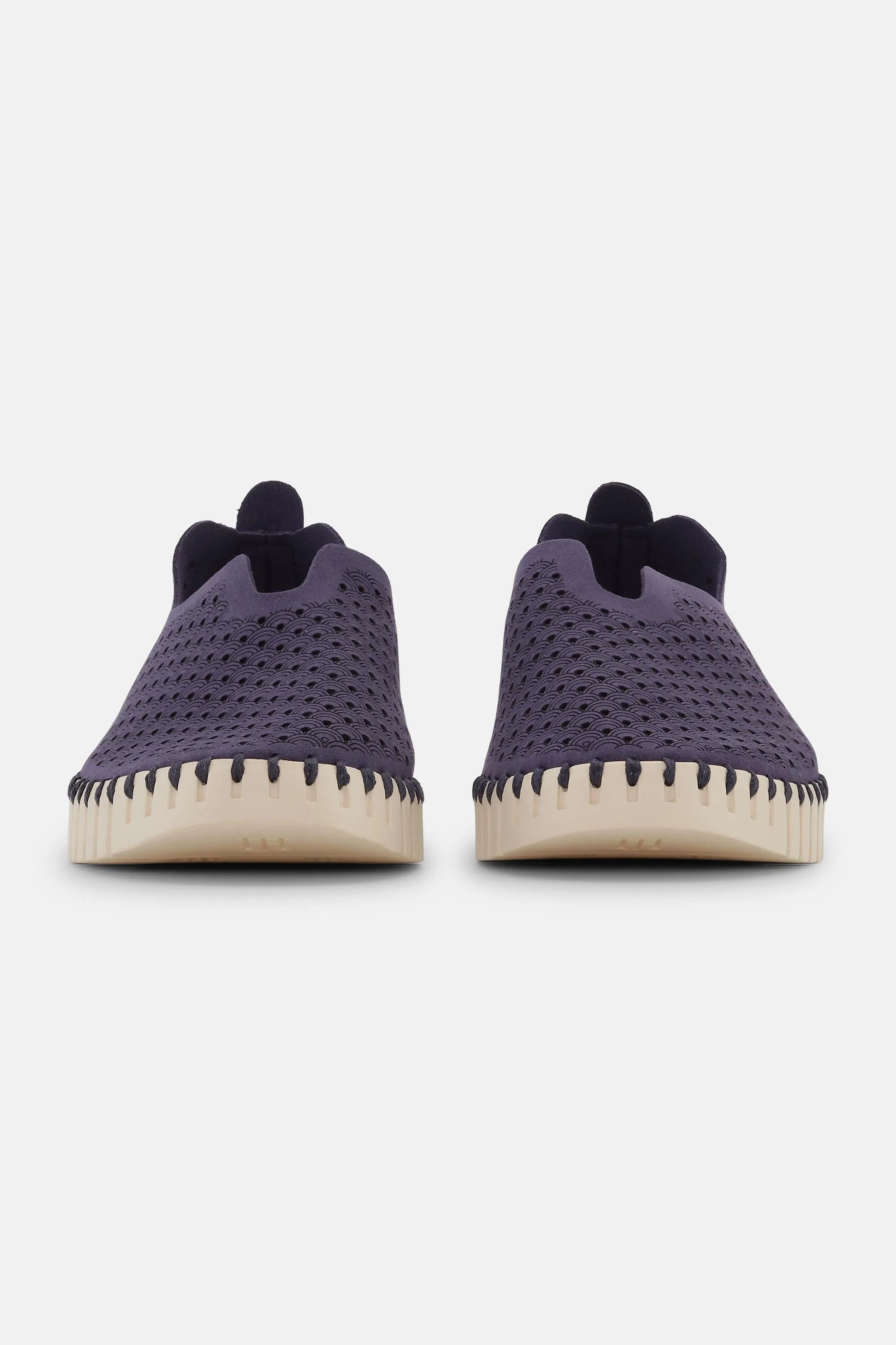 Tulip Skor - Navy