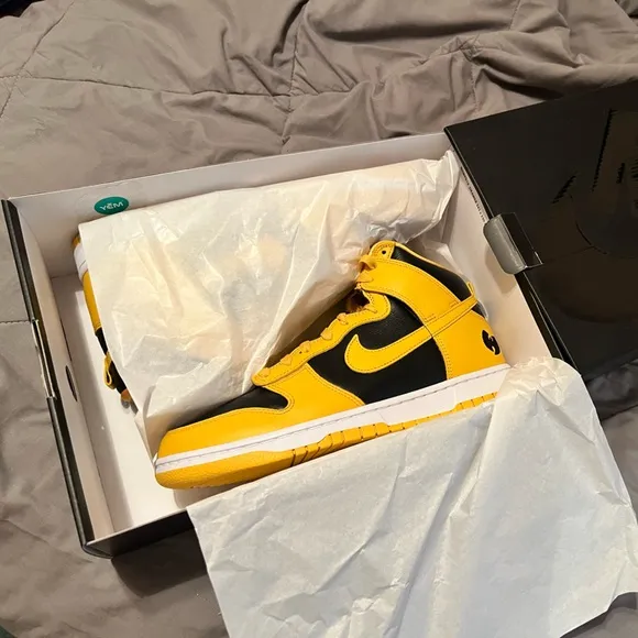Wu Tang x Nike Dunk Hi Retro PRM